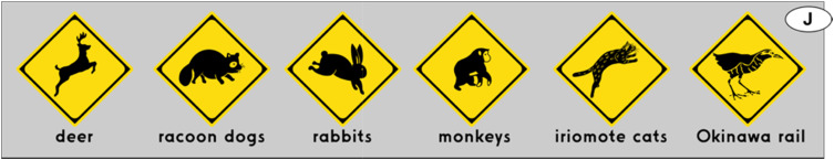 Japońskie znaki, mat. prasowe